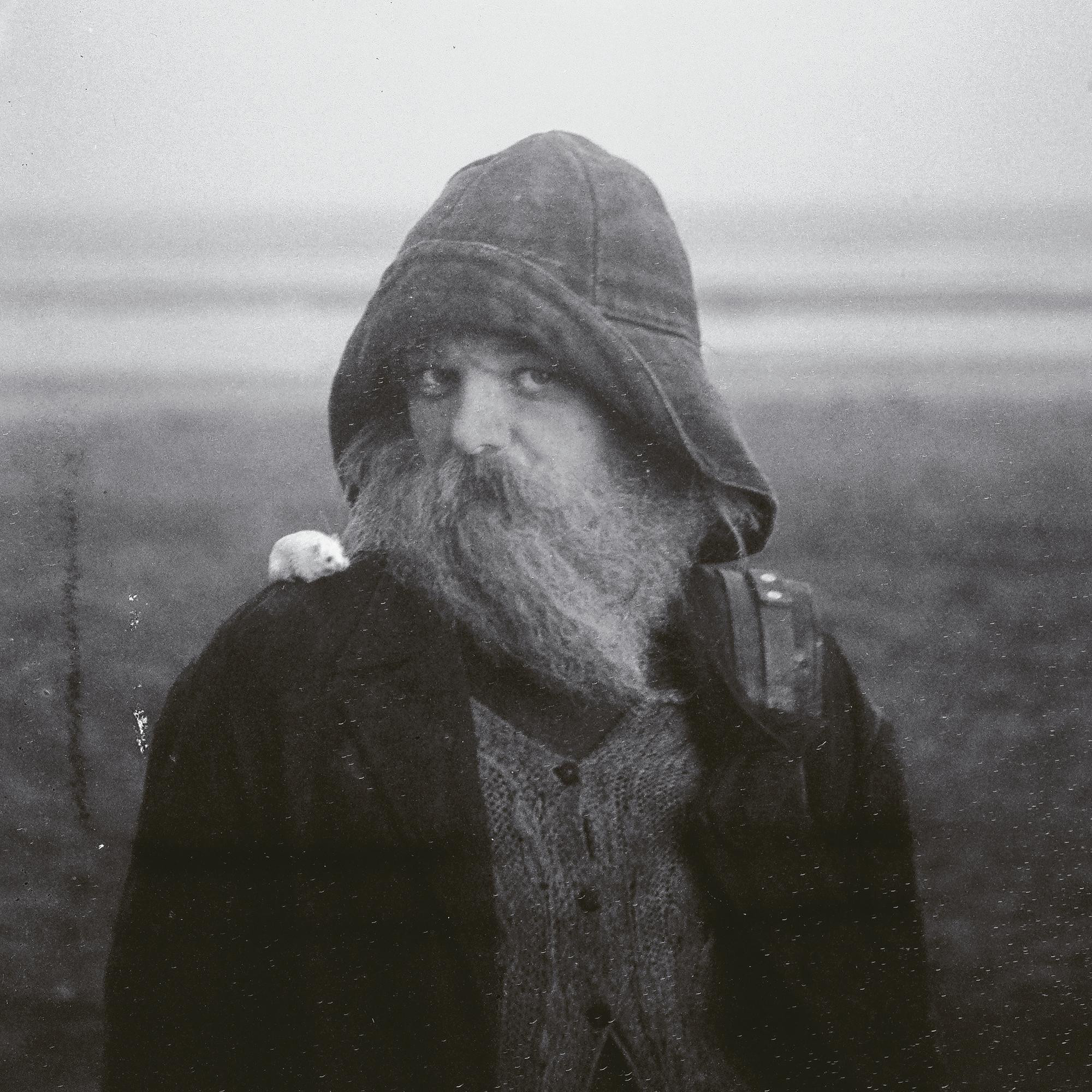 Album artwork for mary in the junkyard — Role Model Hermit