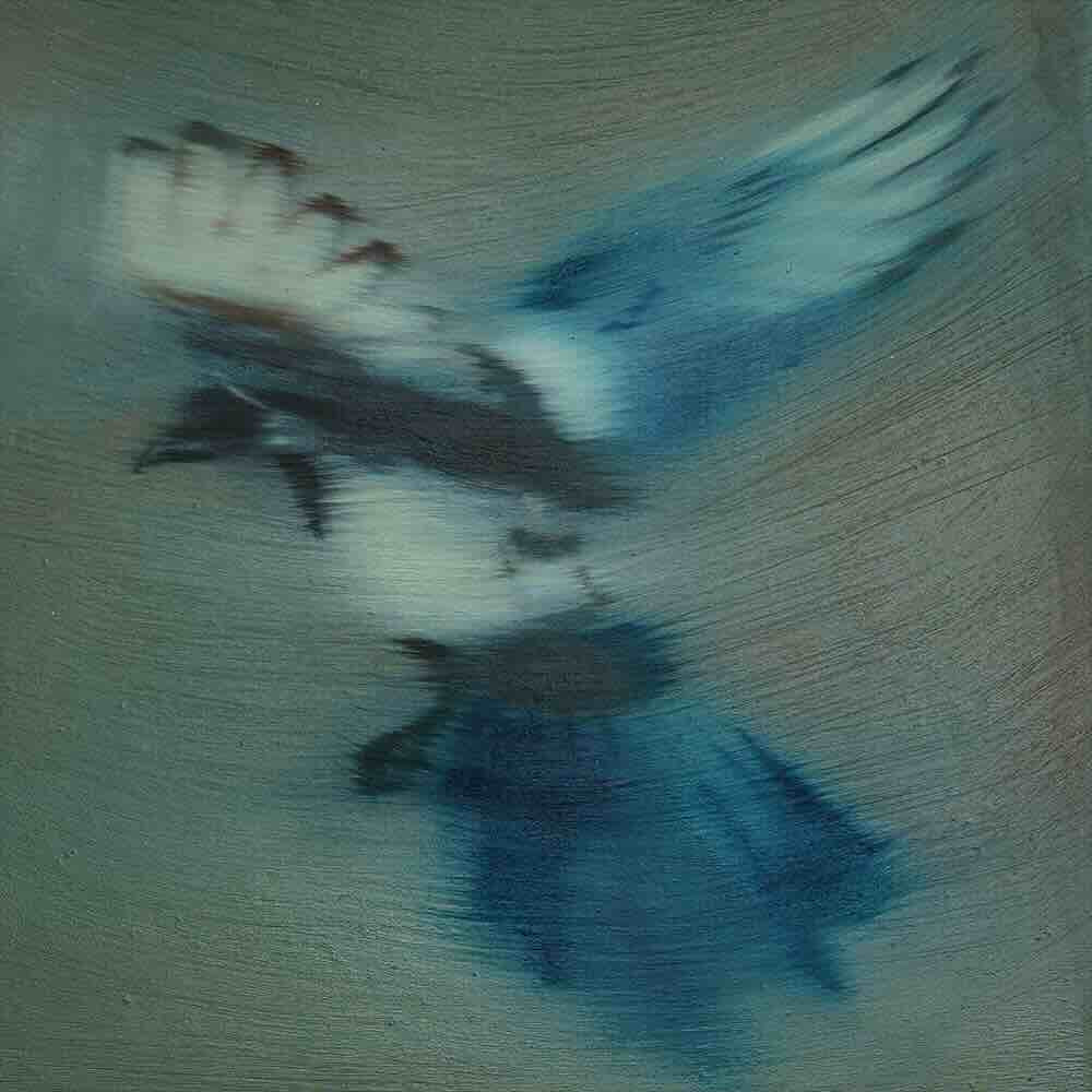 Album artwork for Holy Joke — First Light to Fill My Eyes