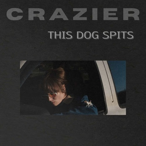 Album artwork for Crazier — This Dog Spits
