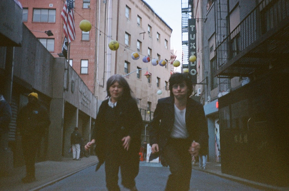 Chinese American Bear